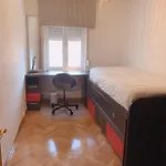 Vut La Paz